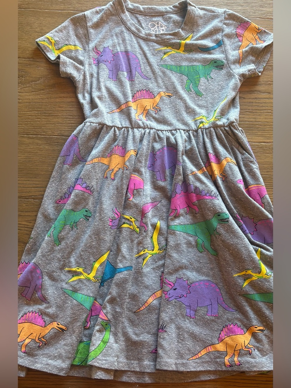 Chaser Girls Gray Dress with Multicolor Dinosaur Print